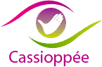 Cassioppée